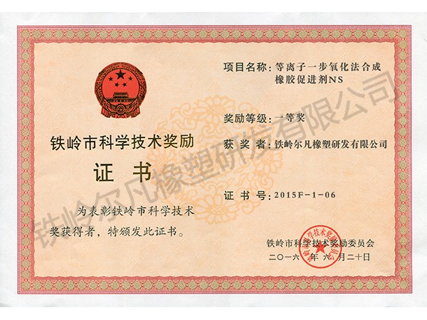 2015鐵嶺市科技獎勵：技術發(fā)明一等獎